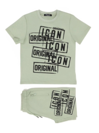 Icon set vic soft green