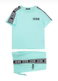 Icon set Levi mint