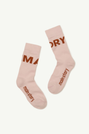MAIN STORY_ Sock - Shrimp
