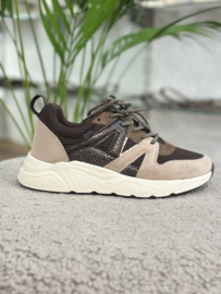 Posh sneakers Carocel | Bruin