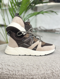Posh sneakers Carocel | Bruin