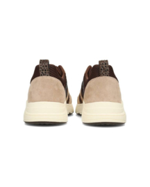Posh sneakers Carocel | Bruin