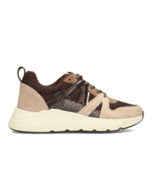 Posh sneakers Carocel | Bruin