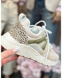 Posh sneakers Carocel  | Groen