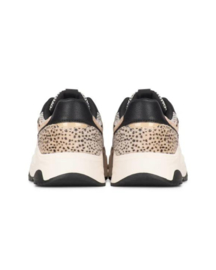 Posh sneakers Macy | Zwart