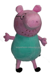 Baby cadeau Peppa Pig met babynaam