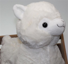 Geboorte cadeau Lama met babynaam