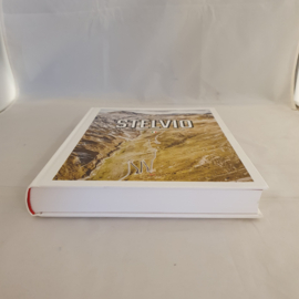 Porsche Drive Pass Portrait Stelvio Stilfser Joch Italie 2757M ISBN9783667110862