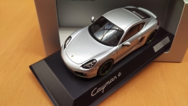 Porsche Cayman E Type 981 - Rhodium Silver Metallic - 2015