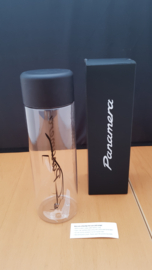 Porsche Panamera Trinkbecher / Flasche mit Schraubverschluss