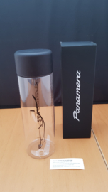 Porsche Panamera drinking cup / bottle with screw cap