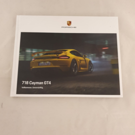 Porsche 718 Cayman GT4 Hardcover Brochure 2020 - DE