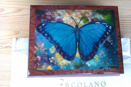 Ercolano Bleu Morpho