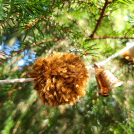 PomPom met belletjes - Oker