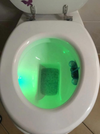 Toilet LED Licht Multicolor