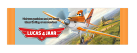 Planes  Vliegtuigjes