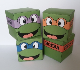 Ninja turtle's - Doosjes