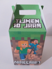 Minecraft - Hoog koffertje