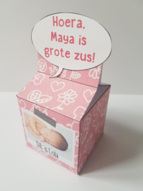 Baby zusje - Doosje