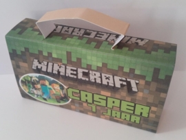 Minecraft koffertje
