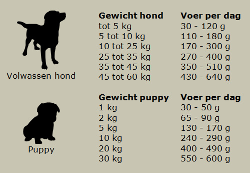 Hondenbrokken Hert Glutenvrij | Jachtinstinct Dierenvoeding