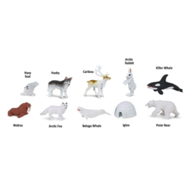 Safari Ltd TOOB® Artic