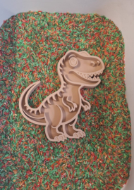 Bio playtray dino