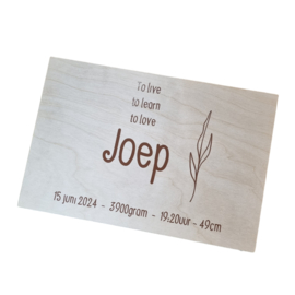 Houten bewaarkist - Joep