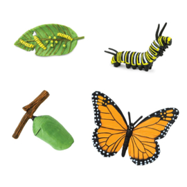 Safari Ltd - Levenscyclus Monarch vlinder