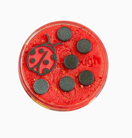 SensoryDough LadyBug