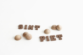 Magic Mini's Sinterklaas