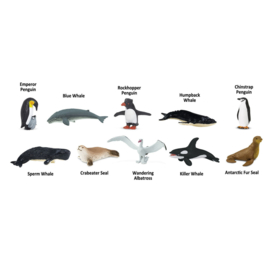 Safari Ltd TOOB®  Antartica