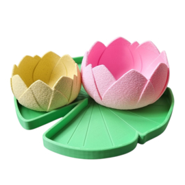 Waterlelieblad & Lotusbloemen