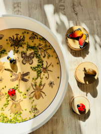PlayPlate insecten