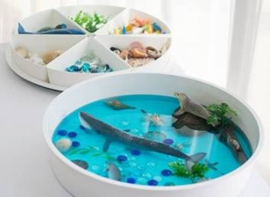 Inspire my play tray