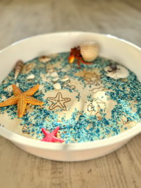 PlayPlate oceaan