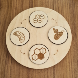 Levenscyclus schijvenset "DE BIJ"