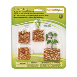 Safari Ltd - Levenscyclus bonenplant
