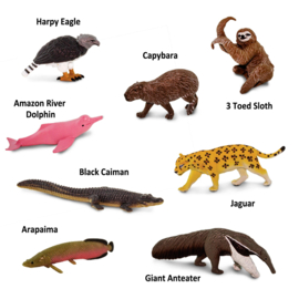 Safari Ltd TOOB®  South American Animals