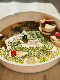 PlayPlate insecten