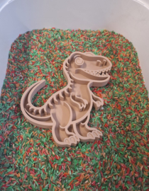 Bio playtray dino