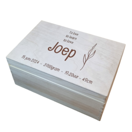 Houten bewaarkist - Joep