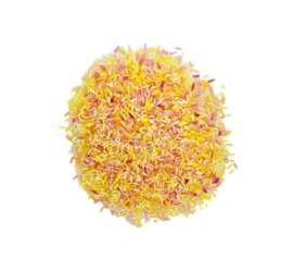 SensoryFun Tropical speelrijst - 1000ml pot