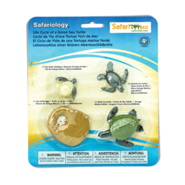 Safari Ltd - Levenscyclus groene zeeschildpad