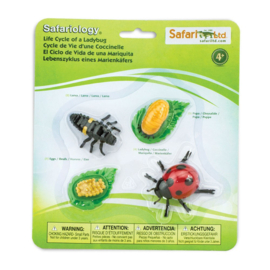 Safari Ltd - Levenscyclus lieveheersbeestje