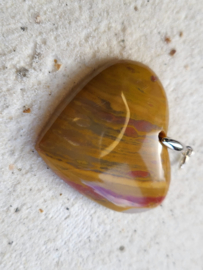 hart versteend hout