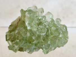 Groene apofyliet