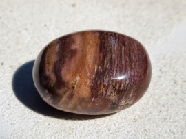 Versteend hout trommelsteen