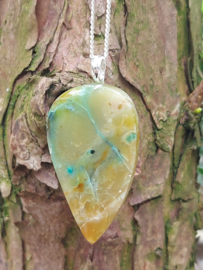 hanger van geopaliseerd versteend hout