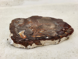 Slice versteend hout